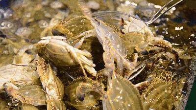 江西虾米面哪家好吃,南昌虾米面