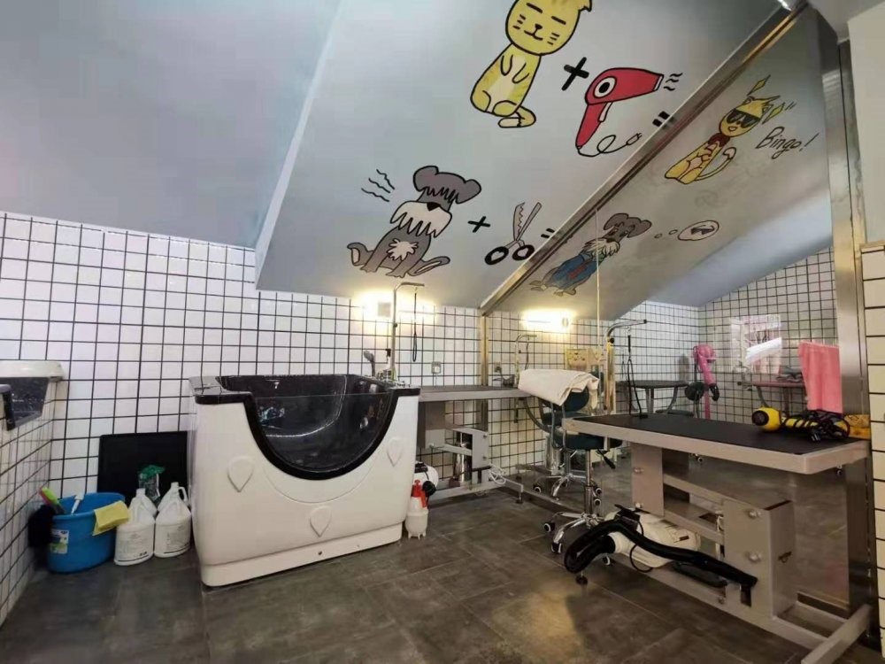 24小时自助宠物店加盟,宠物店加盟哪个最靠谱