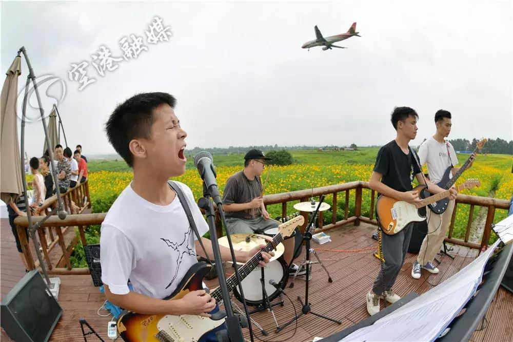 来成都打卡空港花田,成都双流空港花田打卡看飞机