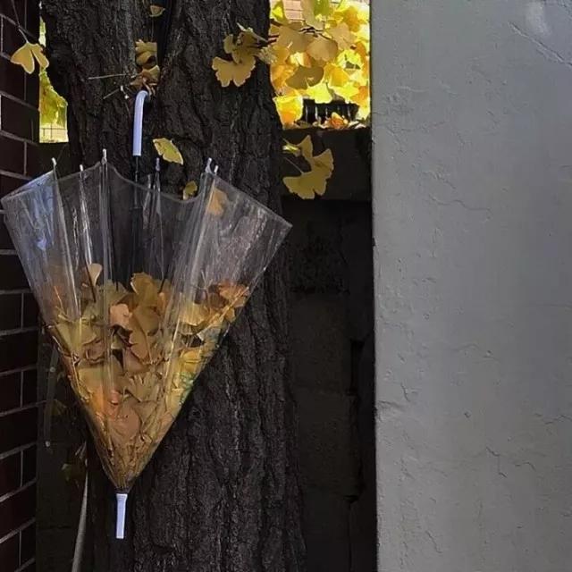 朋友圈相册封面图怎么关闭,朋友圈相册封面图