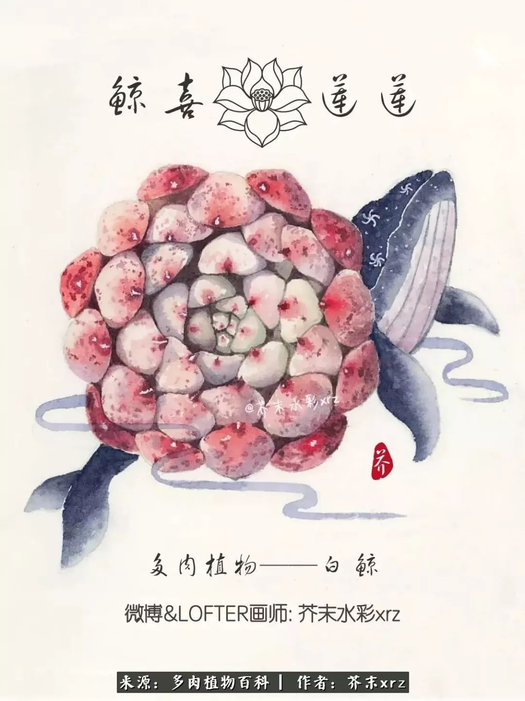 那个爱画多肉的小姑娘带着她的心头肉又来啦!