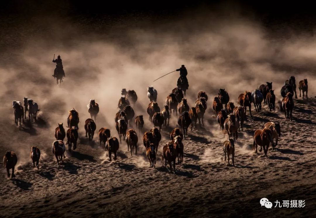 大美坝上草原全景,大美坝上风光系列之一