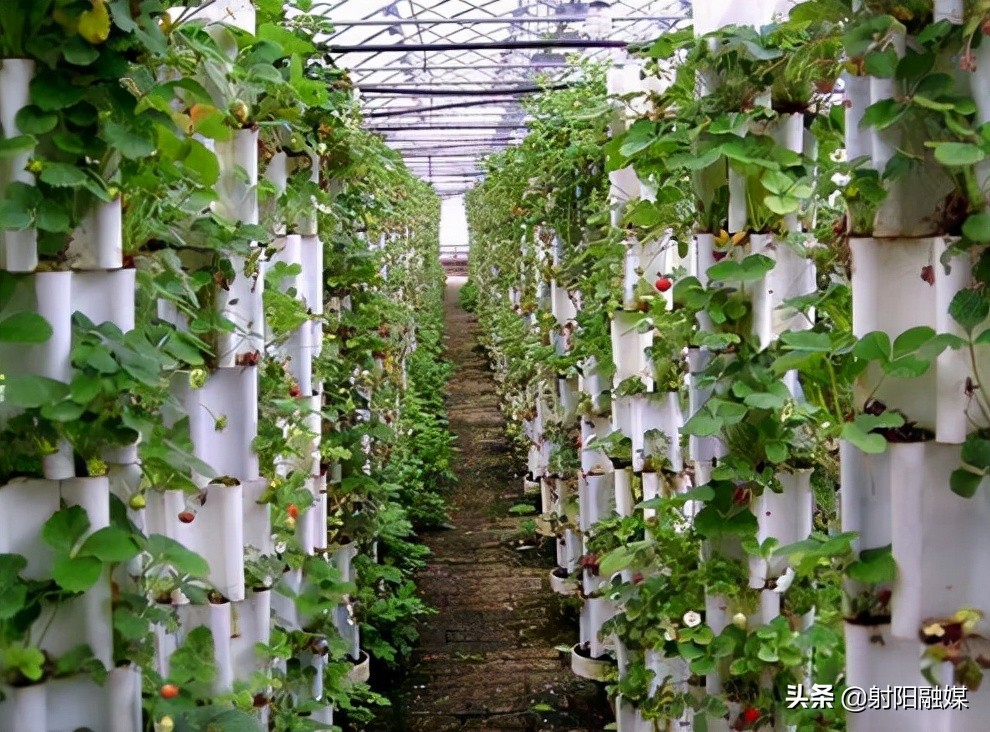 射阳县各村名单,射阳县各乡镇村名单