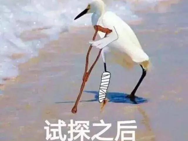 打架没人报警但是让警察抓了,打架被警察抓