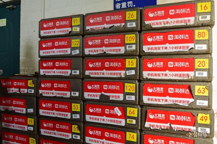 鍖楁捣鏃呮父寮哄娍澶嶈嫃,鍖楁捣澶嶈嫃浜嗗悧