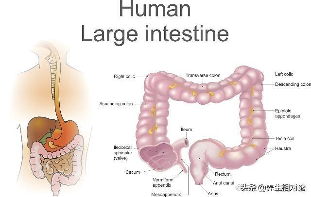女人身体这三个地方不要常洗,女人身体这4个部位必须每天洗