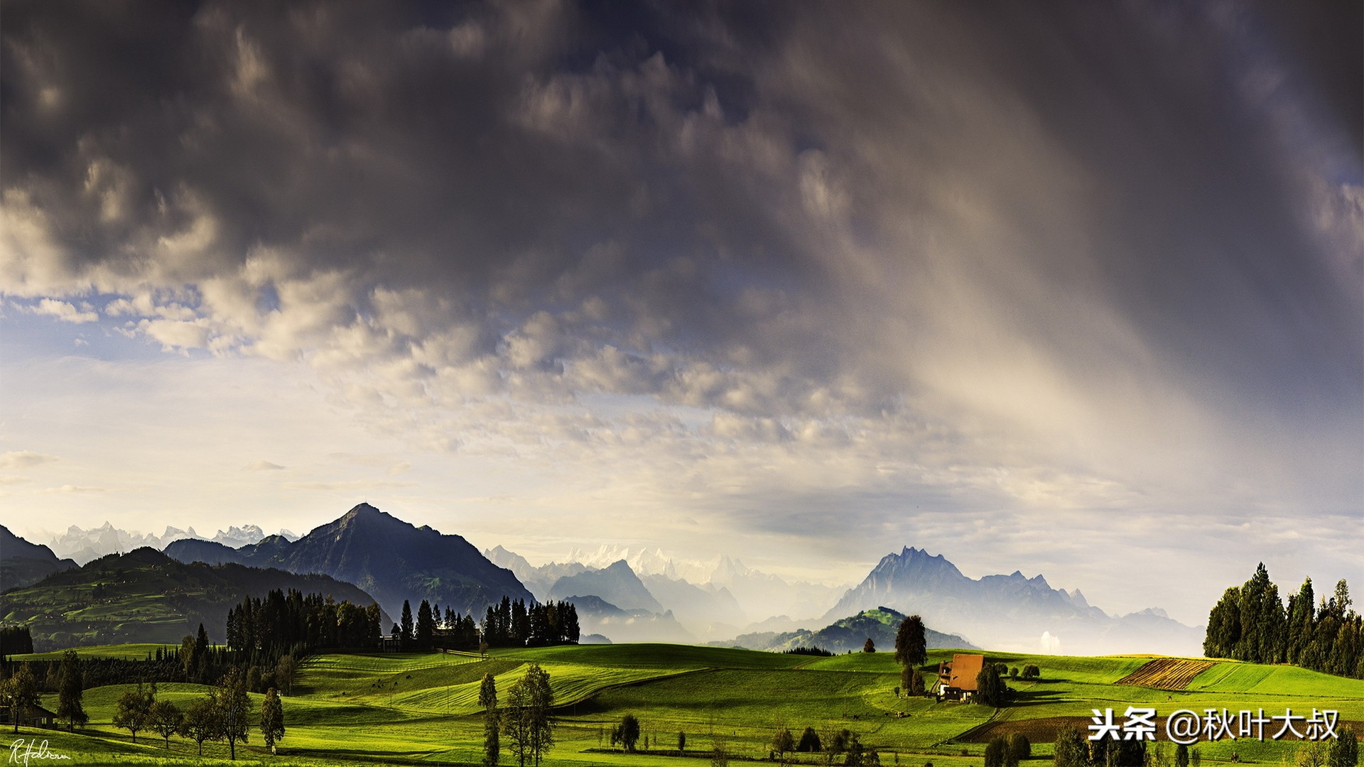 被领导排挤最明智的做法英语,被领导排挤最好的解决方法