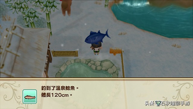 牧场物语重聚矿石镇最全攻略,牧场物语重聚矿石镇霍安喜欢什么