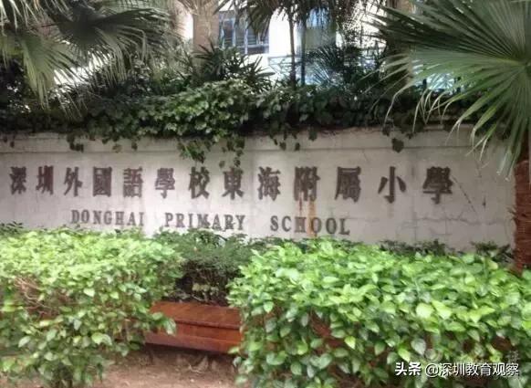 深圳福田小学与南园小学哪个好,深圳八一小学