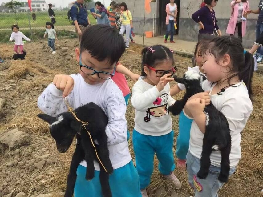 长沙森林自然幼儿园,推荐一所长沙市里的森林幼儿园