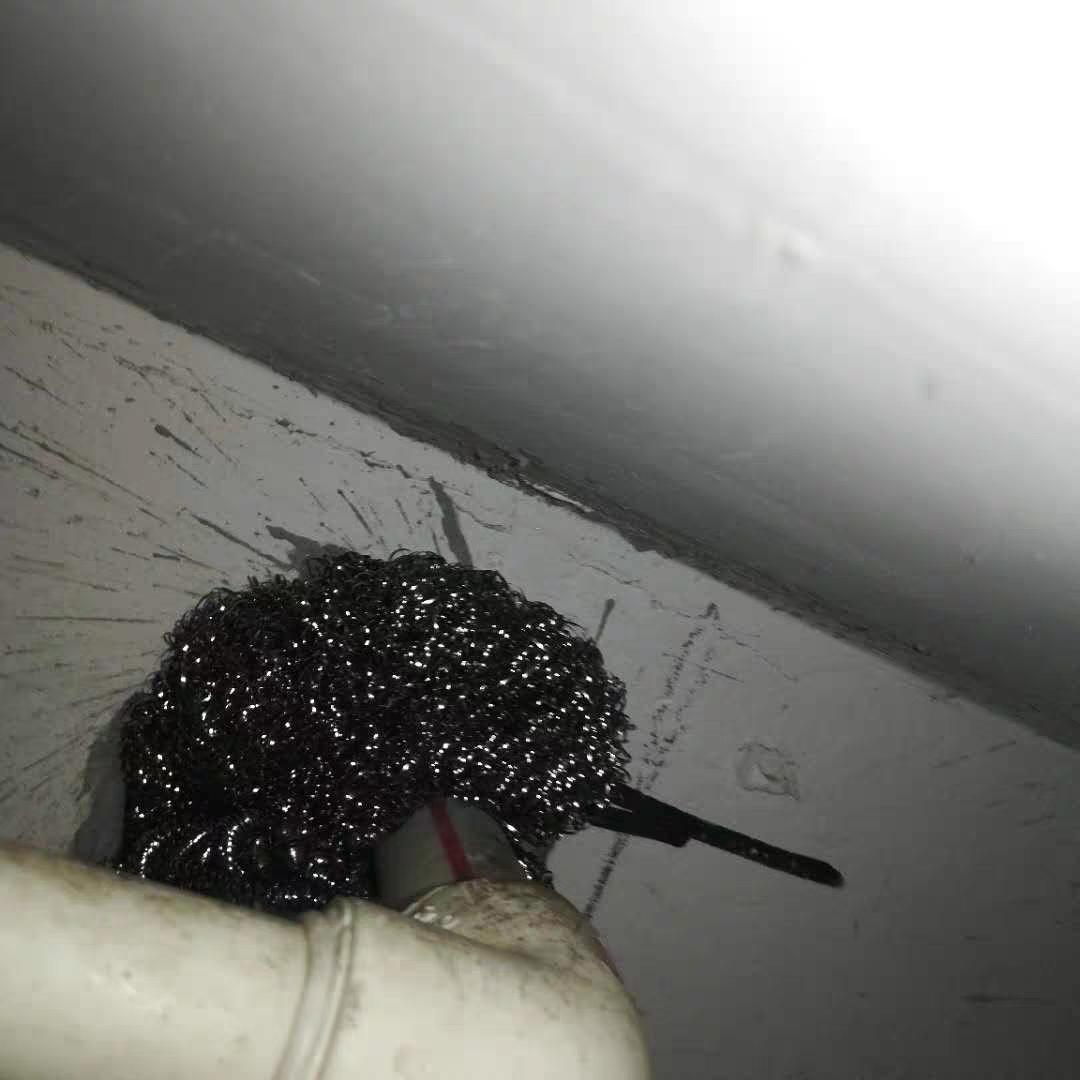 家中老鼠怎么彻底除掉,如何将老鼠从家中赶走