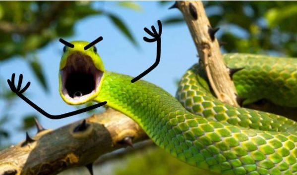 泰国开夜车安全吗,在泰国开夜车