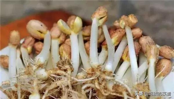 花生生芽能吃吗,花生生芽可以吃吗