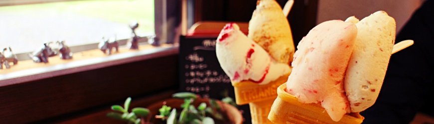 旭川机场,旭川机场到东京机场