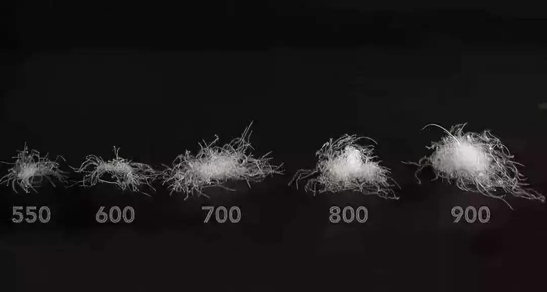 在哪里买的羽绒服会比较好,羽绒服最好在哪买呢