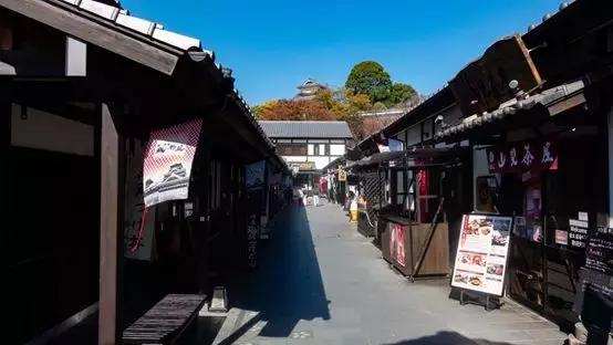 鹿儿岛与熊本,熊本县一日游超全攻略