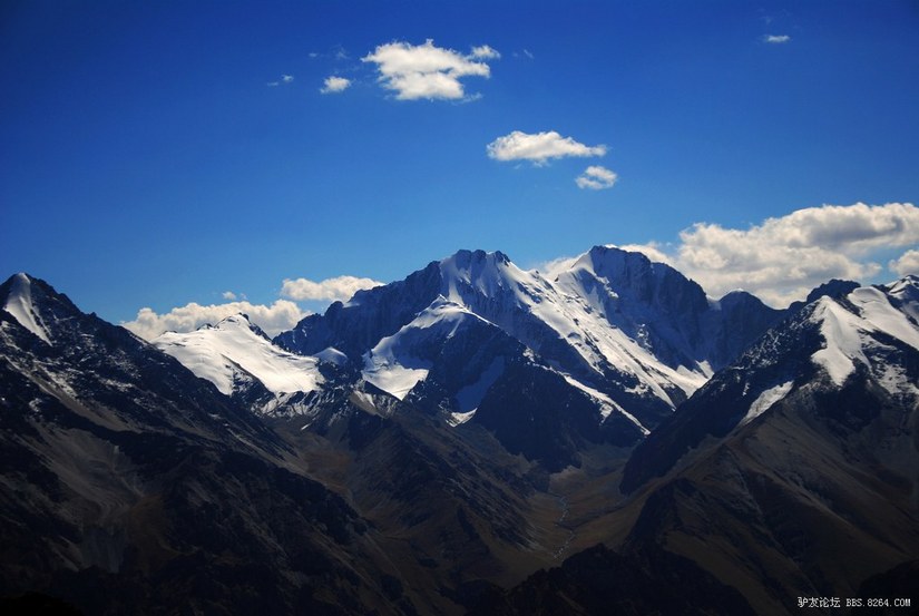 狼c调简谱教唱,狼c