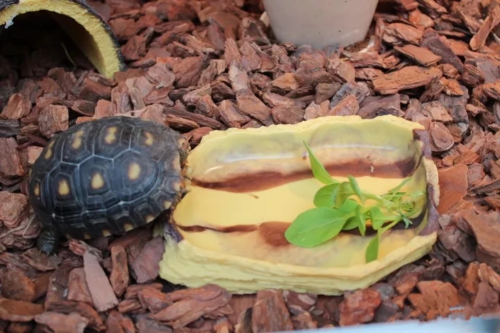 龟专用垫材,龟缸垫材推荐