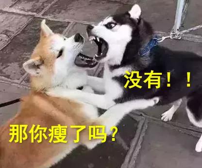 吃一周蔬菜沙拉能瘦几斤,连吃五天苹果能瘦多少斤