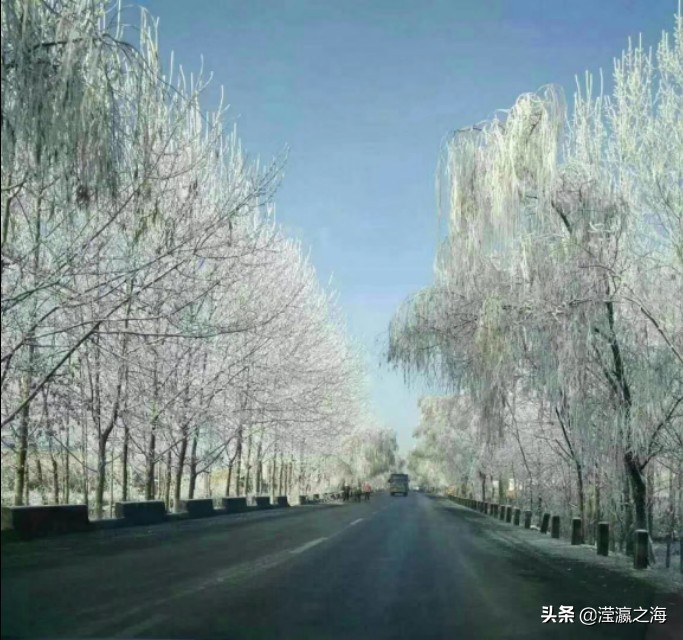 我和我的同桌,同桌的青春年华