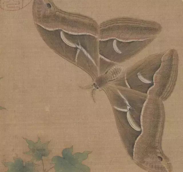 精美团扇100个,宋代团扇造型