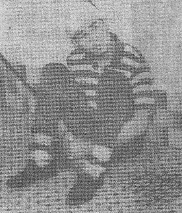 东莞老头贪便宜捡了一袋冬瓜,东莞一老头贪便宜捡了一袋冬瓜