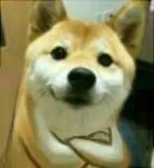 粤a车牌指标延期办法,6月份粤a牌竞价