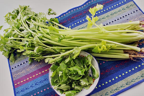 淋巴排毒是否祛湿,淋巴排毒是否有科学依据