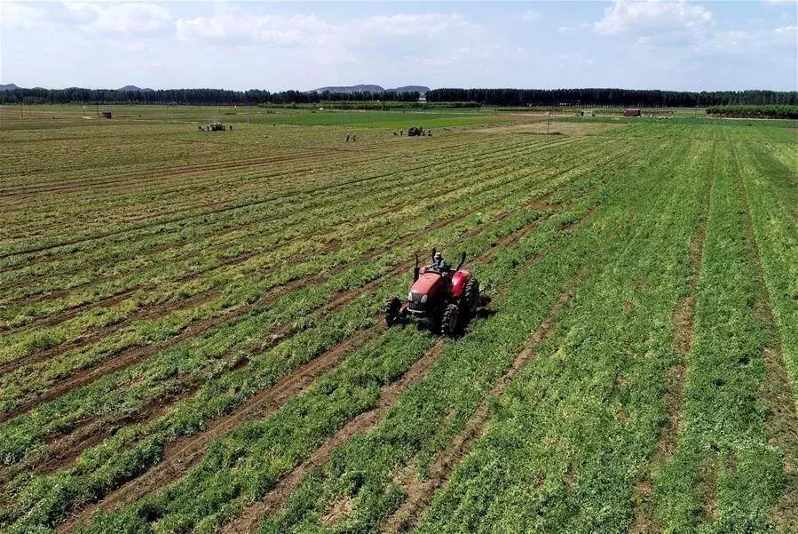 十大热销504拖拉机,554水田型拖拉机销量排名