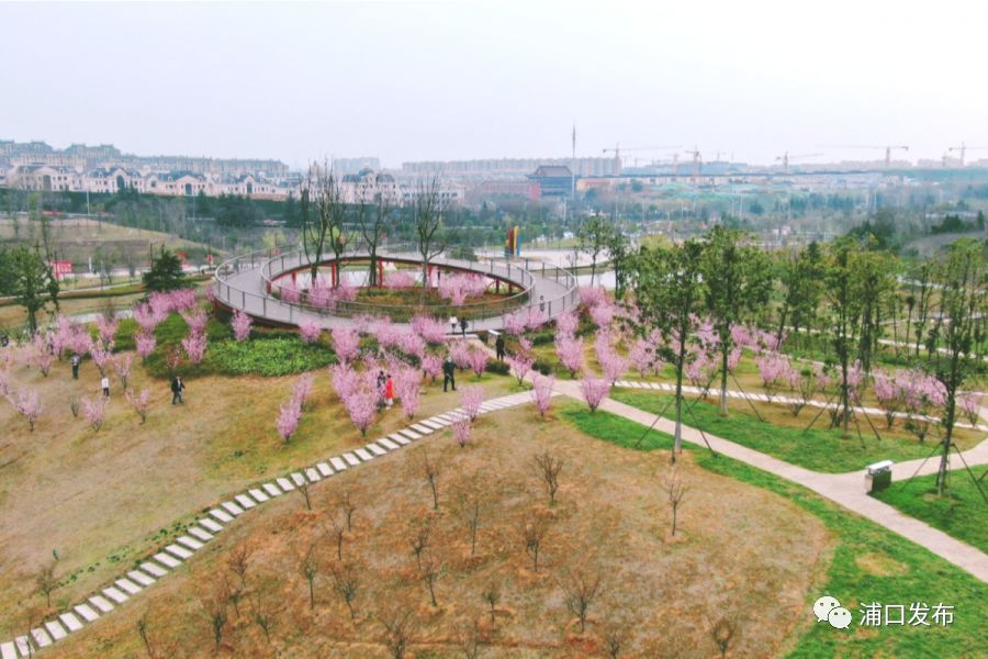 浦口花,南京看花的地方浦口