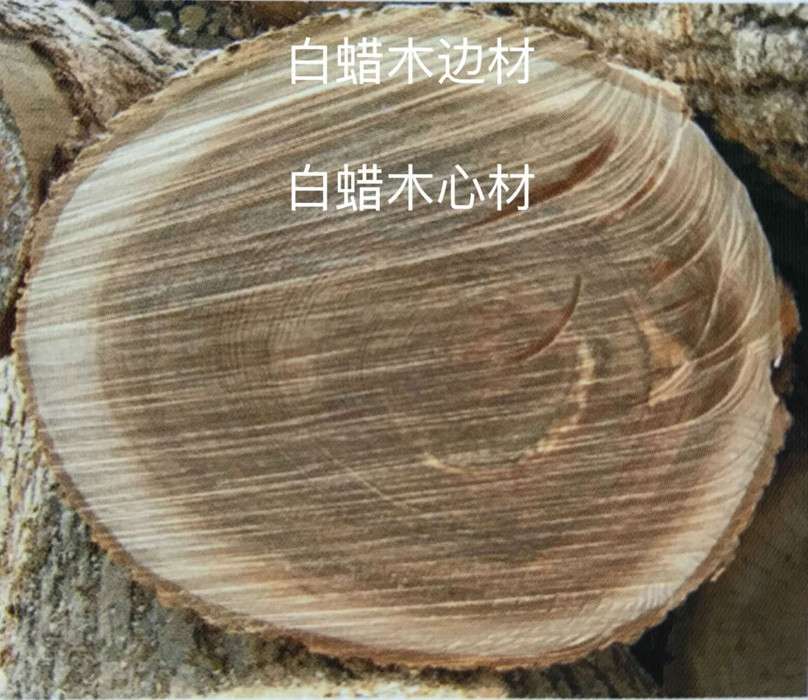 小户型原木沙发推荐牌子,舒适耐用单人沙发推荐品牌