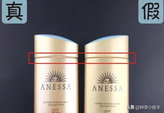 网红卖的安耐晒,安耐晒低价