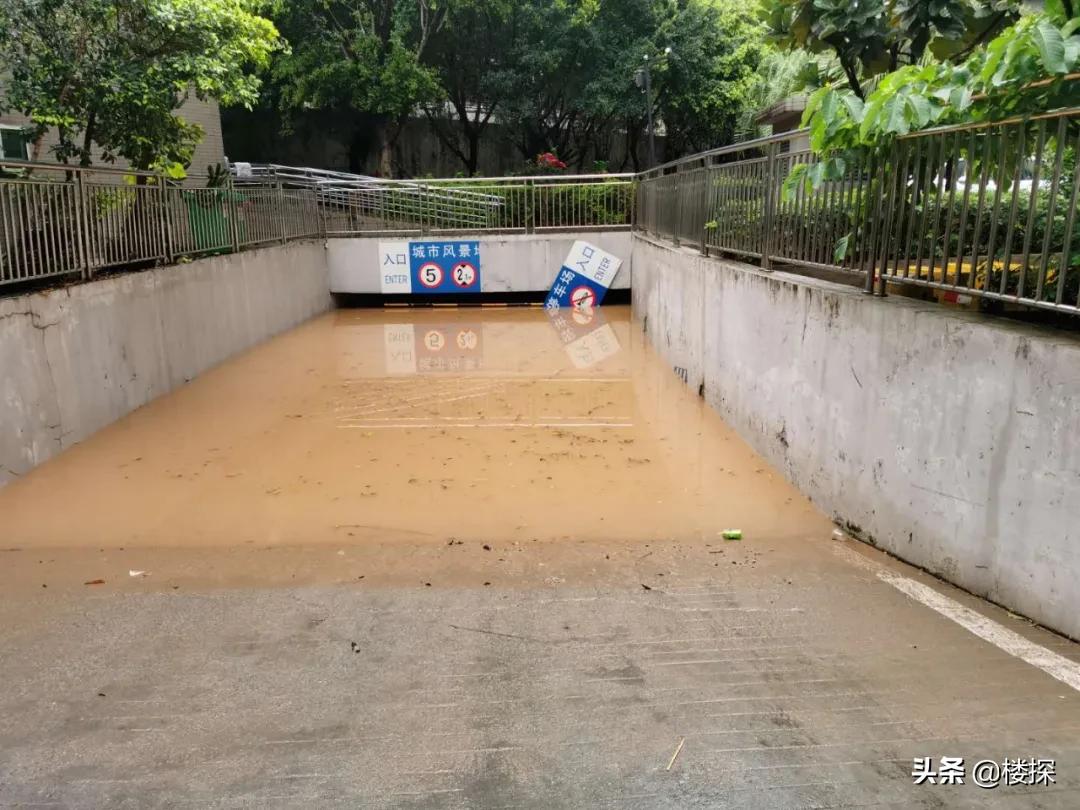 东莞遇暴雨哪里停车最安全,广东暴雨如何防止车被淹
