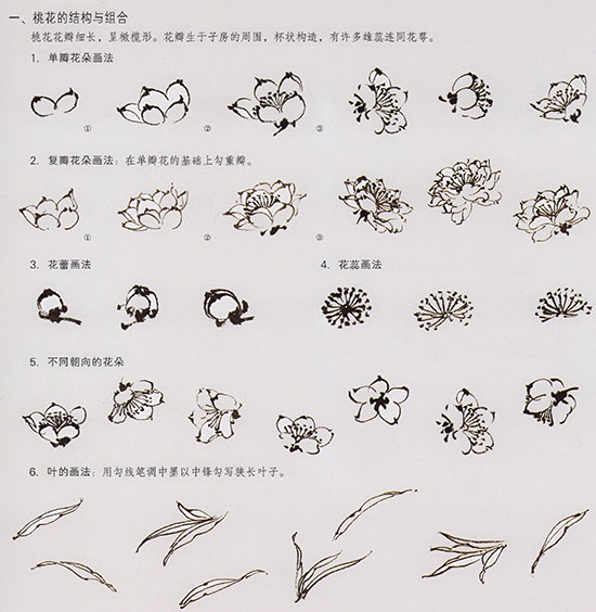 国画转水转粉技法,转桃花教程