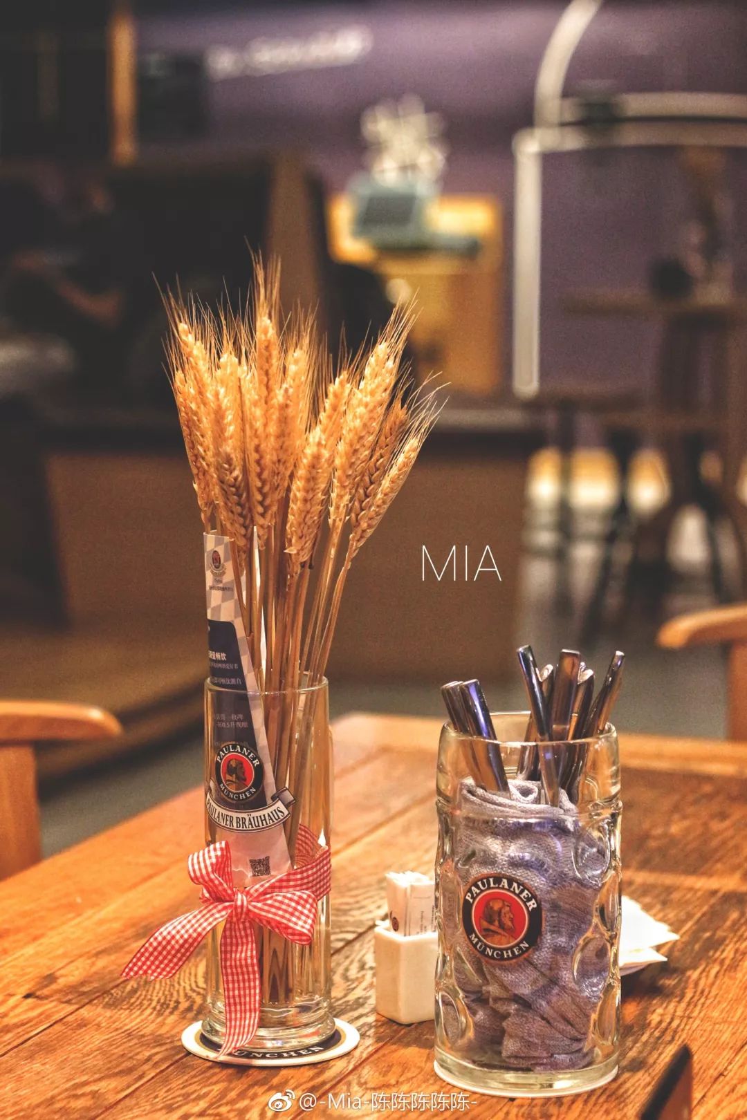 单身狗保护条例,单身狗防伤害地图指南