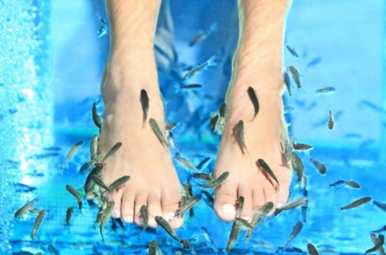 各种药浴温泉,冬天适合泡温泉的药浴