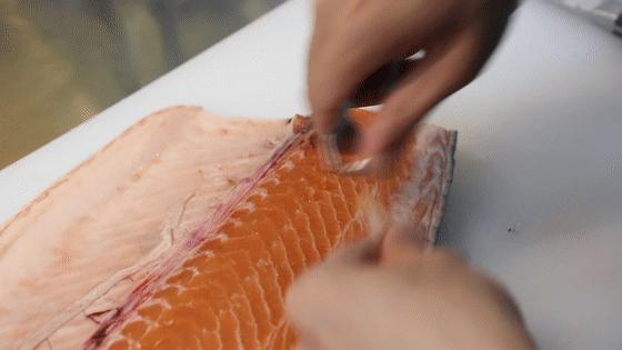 别拦我！古井第四届「肥鱼节」来来来来来啦