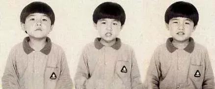 筹备10年，上映后票房58亿！这部人物传记片，让我想到了歌后王菲