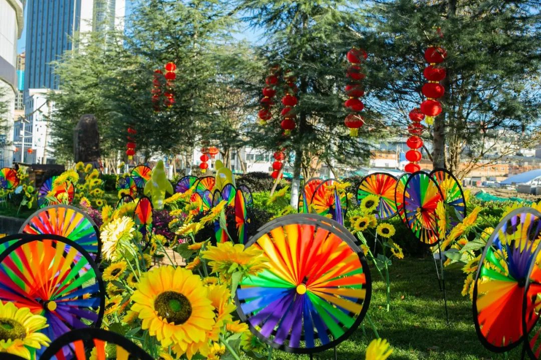 鏄嗘槑钀屽疇鍔ㄧ墿涓婚涔愬洯,鏄嗘槑瀹ゅ唴钀屽疇涔愬洯