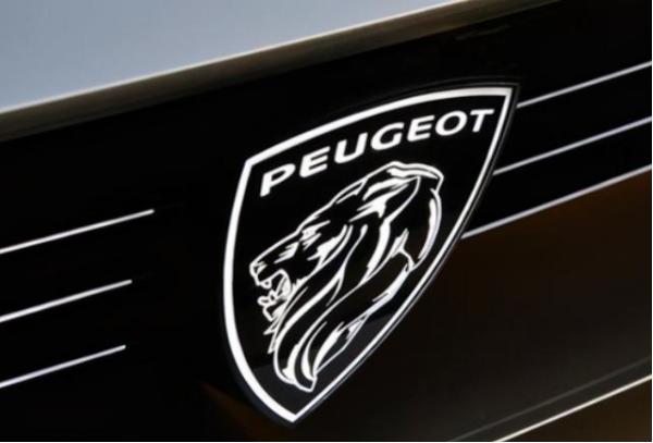 标致换标308,标致308改了大屏没有显示油耗标了