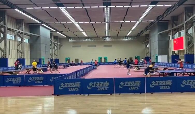 国乒世界冠军给自己理发!碎发洒满肩膀亮点太多,身材遭调侃