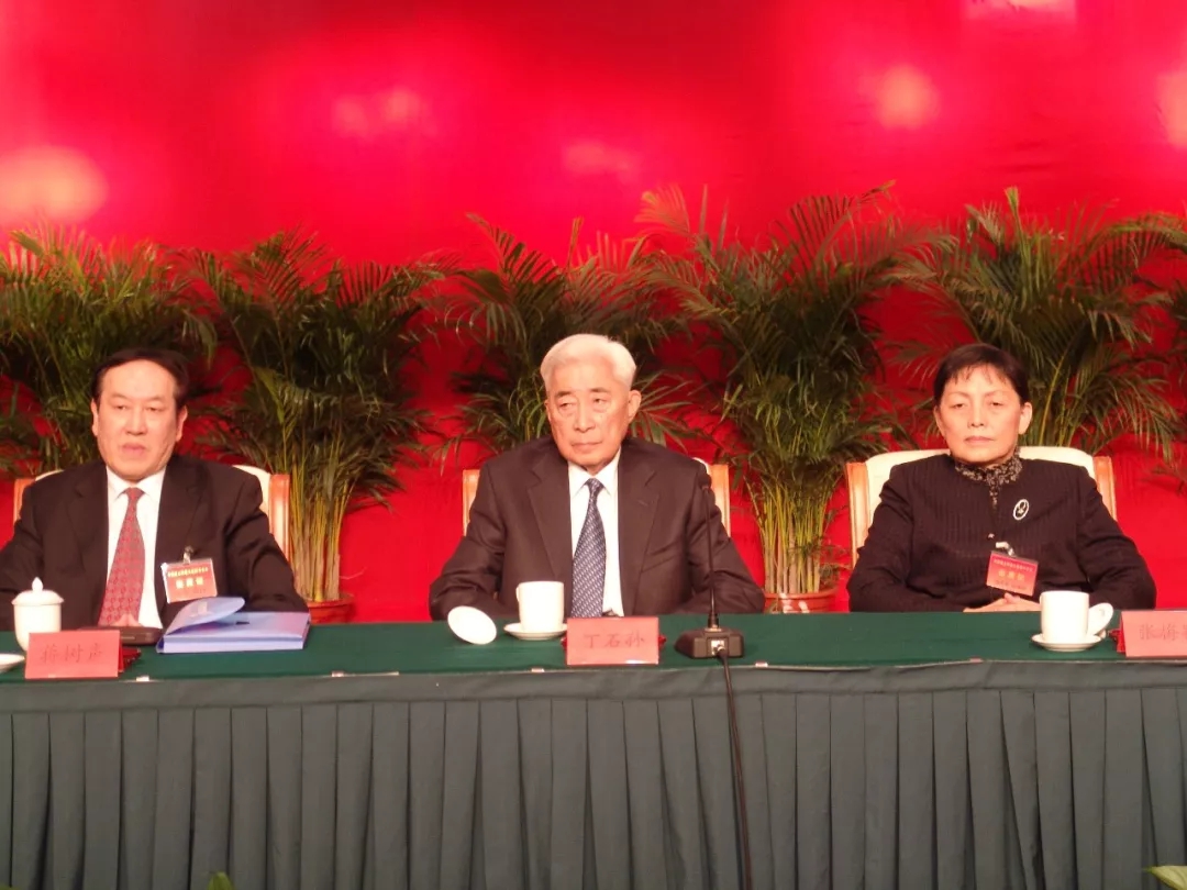 丁石孙：既然当了民盟中央主席，就要尽己之力把它当好