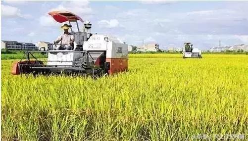 怎么经营好一个合作社,合作社怎么快速盈利