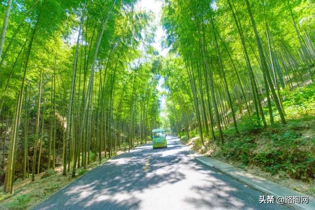 五一小长假结束再看一波各地美景,五一小长假去哪登山踏青看花好