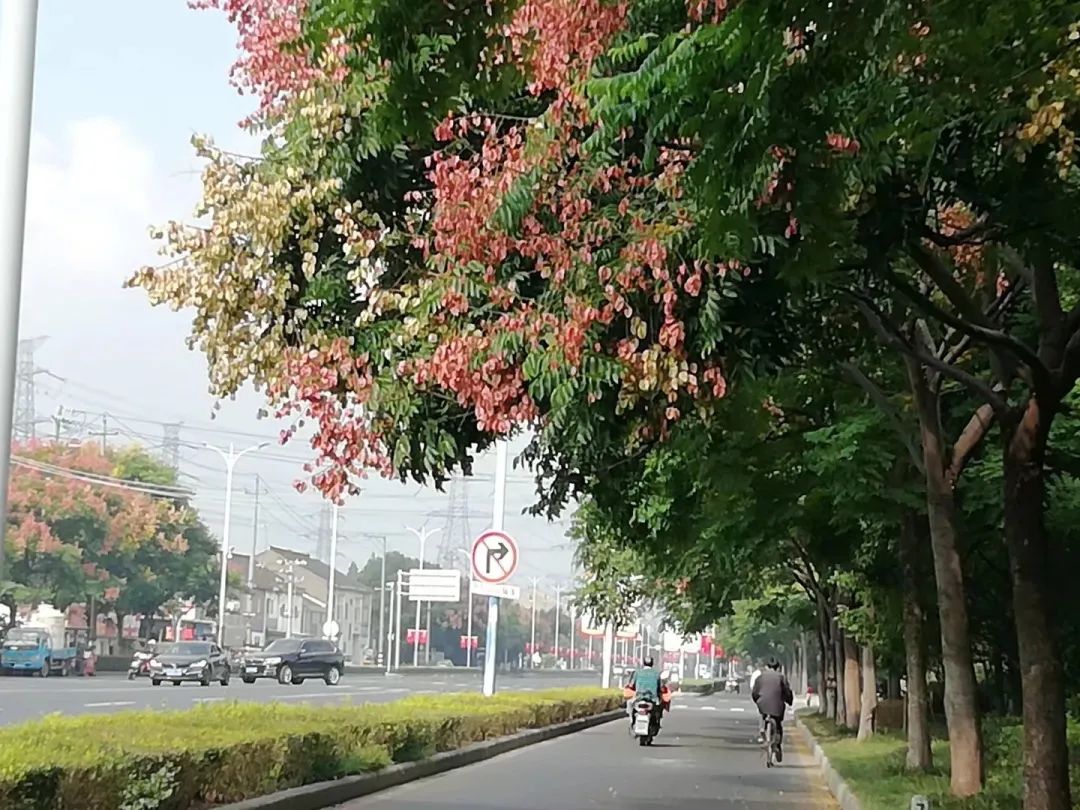 草木人间和燃冬,草木和人间