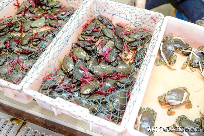 三亚亚龙湾热带雨林美景,在三亚感受亚龙湾的惬意