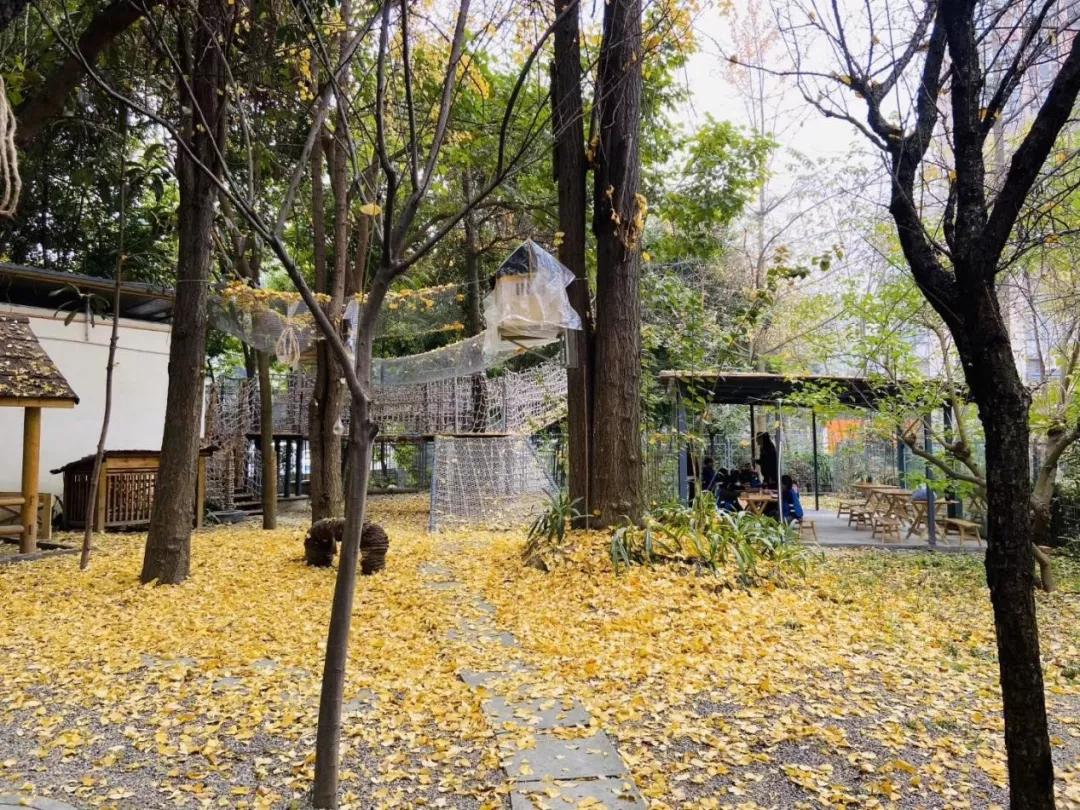 成都武侯探店,成都高性价比民办园