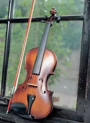 初学者学小提琴的真实现状,带你体验小提琴的魅力