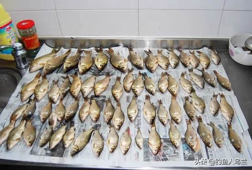 学会钓鱼真好,学会钓鱼才会懂其中的乐趣吗