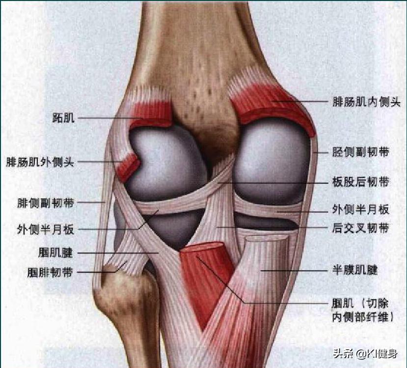 膝关节外侧疼痛找不到原因,膝关节痛不是风湿会是什么问题